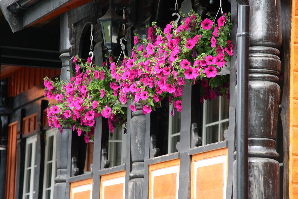 Vakantiepark Solvgarden